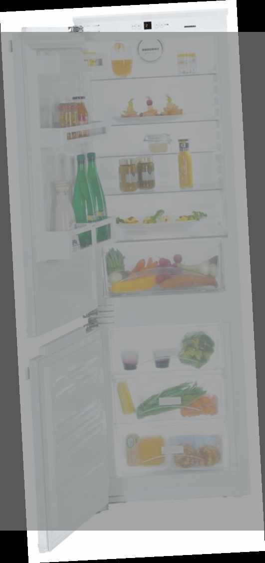 frigo integrable darty