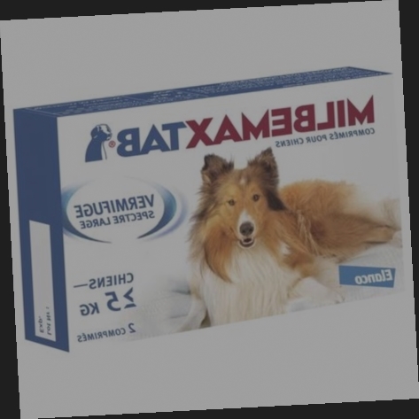 vermifuge milbemax chien